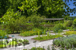 24.06.2026,  Kurpark in Bad Wörishofen (Bayern),  der schön angelegte Kneipp-Kräutergarten mit den bekanntesten Heilkräutern in der Heilkunde.  