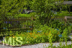 24.06.2026,  Kurpark in Bad Wörishofen (Bayern),  der schön angelegte Kneipp-Kräutergarten mit den bekanntesten Heilkräutern in der Heilkunde.  