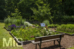 24.06.2026,  Kurpark in Bad Wörishofen (Bayern),  der schön angelegte Kneipp-Kräutergarten mit den bekanntesten Heilkräutern in der Heilkunde.  