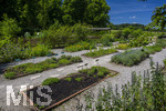 24.06.2026,  Kurpark in Bad Wörishofen (Bayern),  der schön angelegte Kneipp-Kräutergarten mit den bekanntesten Heilkräutern in der Heilkunde.  