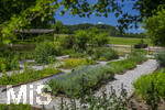 24.06.2026,  Kurpark in Bad Wörishofen (Bayern),  der schön angelegte Kneipp-Kräutergarten mit den bekanntesten Heilkräutern in der Heilkunde.  