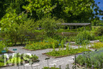 24.06.2026,  Kurpark in Bad Wörishofen (Bayern),  der schön angelegte Kneipp-Kräutergarten mit den bekanntesten Heilkräutern in der Heilkunde.  