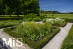 24.06.2026,  Kurpark in Bad Wörishofen (Bayern),  der schön angelegte Kneipp-Kräutergarten mit den bekanntesten Heilkräutern in der Heilkunde.  