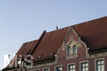 27.06.2026,  Frundsbergfest Mindelheim 2026, ein bekanntes Historisches-Fest im Unterallgäu mit tausenden Mitwirkenden. Die Kreisstadt Mindelheim kehrt für eine Woche ins Mittelalter zurück und feiert ihre historische Geschichte. Stimmungsvolles Altstadtfest und Lagerleben in den Gassen und Strassen.  Der Storch lässt sich auf dem Rathaus-Dach nieder