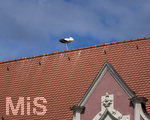28.06.2026,  Frundsbergfest Mindelheim 2026, ein bekanntes Historisches-Fest im Unterallgäu mit tausenden Mitwirkenden. Die Kreisstadt Mindelheim kehrt für eine Woche ins Mittelalter zurück und feiert ihre historische Geschichte. Am heutigen Sonntag zieht sich der Historische Festzug durch die geschmückte Altstatdt.  Ein Weissstorch hat sich direkt auf dem Dach des Rathauses niedergelassen.