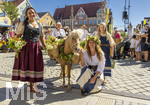 04.07.2026,  Frundsbergfest Mindelheim 2026, Historisches-Fest im Unterallgäu mit tausenden Mitwirkenden. Die Kreisstadt Mindelheim kehrt für eine Woche ins Mittelalter zurück und feiert ihre historische Geschichte. Einzug der Bauern zum Bauernmarkt 