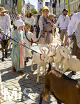 04.07.2026,  Frundsbergfest Mindelheim 2026, Historisches-Fest im Unterallgäu mit tausenden Mitwirkenden. Die Kreisstadt Mindelheim kehrt für eine Woche ins Mittelalter zurück und feiert ihre historische Geschichte. Einzug der Bauern zum Bauernmarkt 
