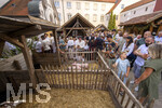04.07.2026,  Frundsbergfest Mindelheim 2026, Historisches-Fest im Unterallgäu mit tausenden Mitwirkenden. Die Kreisstadt Mindelheim kehrt für eine Woche ins Mittelalter zurück und feiert ihre historische Geschichte. Handwerkerhof