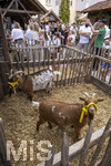 04.07.2026,  Frundsbergfest Mindelheim 2026, Historisches-Fest im Unterallgäu mit tausenden Mitwirkenden. Die Kreisstadt Mindelheim kehrt für eine Woche ins Mittelalter zurück und feiert ihre historische Geschichte. Handwerkerhof