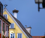 05.07.2026,  Frundsbergfest Mindelheim 2026, Historisches-Fest im Unterallgäu mit tausenden Mitwirkenden. Die Kreisstadt Mindelheim kehrt für eine Woche ins Mittelalter zurück um ihre historische Geschichte zu feiern. Historischer Festzug am Sonntag 5.7.2026 durch die Maximilianstrasse,  
