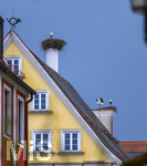 05.07.2026,  Frundsbergfest Mindelheim 2026, Historisches-Fest im Unterallgäu mit tausenden Mitwirkenden. Die Kreisstadt Mindelheim kehrt für eine Woche ins Mittelalter zurück um ihre historische Geschichte zu feiern. Historischer Festzug am Sonntag 5.7.2026 durch die Maximilianstrasse,  