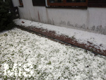 14.07.2026, Buchloe, Ostallgäu, Ein heftiges Gewitter mit Hagel und Sturm ging am Abend über der Stadt Buchloe (Bayern) nieder. Viele Hagelkörner im Garten, 