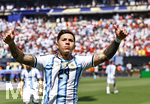 19.07.2026, Fussball Weltmeisterschaft 2026 in den USA, Finale, Spanien - Argentinien, im MetLife Stadium (New York/New Jersey (East Rutherford)), Enzo Fernandez (Argentinien) 
 

