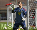 29.07.2026, Fussball Bundesliga 2026/2027, Trainingslager FC Bayern München in Rottach-Egern am Tegernsee (Bayern). Torwart Manuel Neuer (FC Bayern München) fängt eine Frisbee Wurf-Scheibe