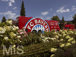 30.07.2026, Fussball Bundesliga 2026/2027, Trainingslager FC Bayern München in Rottach-Egern am Tegernsee (Bayern). Testspiel FC Rottach Egern - FC Bayern München, Der Mannschaftsbus des FC Bayern München steht am Hotel vor dem Eingang, vor einem herrlichen Blumenbeet.