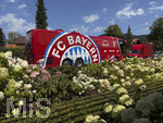 30.07.2026, Fussball Bundesliga 2026/2027, Trainingslager FC Bayern München in Rottach-Egern am Tegernsee (Bayern). Testspiel FC Rottach Egern - FC Bayern München, Der Mannschaftsbus des FC Bayern München steht am Hotel vor dem Eingang, vor einem herrlichen Blumenbeet.