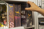 07.08.2026, Buchreihe von Rebecca Yarros, ONYX STORM im Buchregal eines Teenagers in Bad Wörishofen in Bayern. Bei Onyx Storm (auf Deutsch Flammengeküsst) handelt es sich um den dritten Band der erfolgreichen Empyrean-Fantasy-Reihe von Rebecca Yarros (nach Fourth Wing und Iron Flame). Die Geschichte führt den epischen Kampf mit Drachen, Magie und tödlichen Intrigen fort.