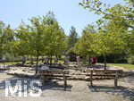 16.08.2026,  Kurpark in Bad Wörishofen (Bayern), der Barfusspfad im Kurpark der Kneippstadt im Unterallgäu zieht Besucher aus Nah und Fern an, Ein Barfußpfad regt die Durchblutung an, stärkt die Fußmuskulatur und massiert die Fußreflexzonen. Durch das Gehen auf unterschiedlichen Materialien wie Rindenmulch, Steinen oder Holz wird die Sensorik geschult, die Haltung verbessert und der Körper auf natürliche Weise entspannt. Muskeln und Gelenke: Kräftigt das Fußgewölbe sowie Sehnen und Bänder im Fuß, Hilft beim Stressabbau und sorgt für ein geerdetes, ausgeglichenes Körpergefühl.