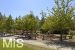 16.08.2026,  Kurpark in Bad Wörishofen (Bayern), der Barfusspfad im Kurpark der Kneippstadt im Unterallgäu zieht Besucher aus Nah und Fern an, Ein Barfußpfad regt die Durchblutung an, stärkt die Fußmuskulatur und massiert die Fußreflexzonen. Durch das Gehen auf unterschiedlichen Materialien wie Rindenmulch, Steinen oder Holz wird die Sensorik geschult, die Haltung verbessert und der Körper auf natürliche Weise entspannt. Muskeln und Gelenke: Kräftigt das Fußgewölbe sowie Sehnen und Bänder im Fuß, Hilft beim Stressabbau und sorgt für ein geerdetes, ausgeglichenes Körpergefühl.