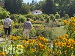 16.08.2026,  Kurpark in Bad Wörishofen (Bayern), der herrlich blühende Rosengarten im Kurpark der Kneippstadt im Unterallgäu zieht Besucher aus Nah und Fern an.