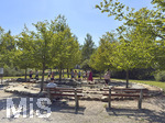 16.08.2026,  Kurpark in Bad Wörishofen (Bayern), der Barfusspfad im Kurpark der Kneippstadt im Unterallgäu zieht Besucher aus Nah und Fern an, Ein Barfußpfad regt die Durchblutung an, stärkt die Fußmuskulatur und massiert die Fußreflexzonen. Durch das Gehen auf unterschiedlichen Materialien wie Rindenmulch, Steinen oder Holz wird die Sensorik geschult, die Haltung verbessert und der Körper auf natürliche Weise entspannt. Muskeln und Gelenke: Kräftigt das Fußgewölbe sowie Sehnen und Bänder im Fuß, Hilft beim Stressabbau und sorgt für ein geerdetes, ausgeglichenes Körpergefühl.