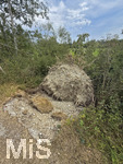 16.08.2026, Bad Wörishofen, die Wertach fliesst in den Irsinger Stausee, hinter dem Staudamm liegen viele Bäume vom Sturm im Juli am Boden, umgestürzt und entwurzelt.