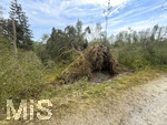 16.08.2026, Bad Wörishofen, die Wertach fliesst in den Irsinger Stausee, hinter dem Staudamm liegen viele Bäume vom Sturm im Juli am Boden, umgestürzt und entwurzelt.