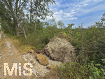 16.08.2026, Bad Wörishofen, die Wertach fliesst in den Irsinger Stausee, hinter dem Staudamm liegen viele Bäume vom Sturm im Juli am Boden, umgestürzt und entwurzelt.