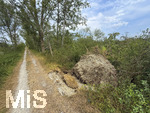 16.08.2026, Bad Wörishofen, die Wertach fliesst in den Irsinger Stausee, hinter dem Staudamm liegen viele Bäume vom Sturm im Juli am Boden, umgestürzt und entwurzelt.