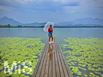 20.08.2026, am Hopfensee bei Füssen im Allgäu, Ein Steg führt in den See, hinten zieht ein Gewitter auf wo der Regen bereits aus den Wolken fällt. Eine Frau steht mit Regenschirm am Ende des Steges. (Modelreleased)