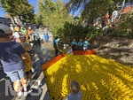 06.09.2026,  Bad Wörishofen, Unterallgäu, Entenrennen für einen guten Zweck im Wörthbach
