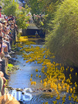 06.09.2026,  Bad Wörishofen, Unterallgäu, Entenrennen für einen guten Zweck im Wörthbach