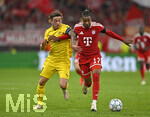 10.09.2026, Fussball UEFA Championsleague 2026/2027: 1.Spieltag,  FC Bayern München - FK Bodo/Glimt, in der Allianz-Arena München, v.l. Patrick Berg (FK Bodo Glimt) gegen Michael Olise (FC Bayern München) 
  

