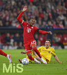 10.09.2026, Fussball UEFA Championsleague 2026/2027: 1.Spieltag,  FC Bayern München - FK Bodo/Glimt, in der Allianz-Arena München, Sondre Brunstad Fet (FK Bodo Glimt) gegen Michael Olise (li, FC Bayern München) 
  

