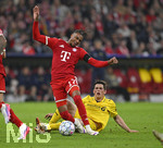 10.09.2026, Fussball UEFA Championsleague 2026/2027: 1.Spieltag,  FC Bayern München - FK Bodo/Glimt, in der Allianz-Arena München, v.l. Michael Olise (FC Bayern München) gegen Sondre Brunstad Fet (FK Bodo Glimt) 
  

