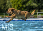 20.09.2026, Freibad Bad Wörishofen (Bayern), Hundebadetag im Freibad Sonnenbüchl in Bad Wörishofen. Nach der offizielle Schliessung des Bades für die Sommergäste dürfen die Hunde nochmal nach Herzenslust ins ungechlorte Wasser springen und toben.