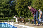 20.09.2026, Freibad Bad Wörishofen (Bayern), Hundebadetag im Freibad Sonnenbüchl in Bad Wörishofen. Nach der offizielle Schliessung des Bades für die Sommergäste dürfen die Hunde nochmal nach Herzenslust ins ungechlorte Wasser springen und toben. 