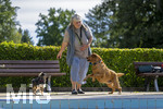 20.09.2026, Freibad Bad Wörishofen (Bayern), Hundebadetag im Freibad Sonnenbüchl in Bad Wörishofen. Nach der offizielle Schliessung des Bades für die Sommergäste dürfen die Hunde nochmal nach Herzenslust ins ungechlorte Wasser springen und toben. 