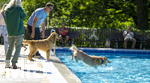 20.09.2026, Freibad Bad Wörishofen (Bayern), Hundebadetag im Freibad Sonnenbüchl in Bad Wörishofen. Nach der offizielle Schliessung des Bades für die Sommergäste dürfen die Hunde nochmal nach Herzenslust ins ungechlorte Wasser springen und toben. 