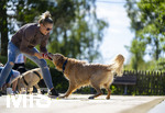 20.09.2026, Freibad Bad Wörishofen (Bayern), Hundebadetag im Freibad Sonnenbüchl in Bad Wörishofen. Nach der offizielle Schliessung des Bades für die Sommergäste dürfen die Hunde nochmal nach Herzenslust ins ungechlorte Wasser springen und toben. 