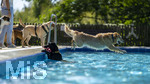 20.09.2026, Freibad Bad Wörishofen (Bayern), Hundebadetag im Freibad Sonnenbüchl in Bad Wörishofen. Nach der offizielle Schliessung des Bades für die Sommergäste dürfen die Hunde nochmal nach Herzenslust ins ungechlorte Wasser springen und toben. 