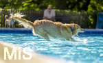 20.09.2026, Freibad Bad Wörishofen (Bayern), Hundebadetag im Freibad Sonnenbüchl in Bad Wörishofen. Nach der offizielle Schliessung des Bades für die Sommergäste dürfen die Hunde nochmal nach Herzenslust ins ungechlorte Wasser springen und toben. 