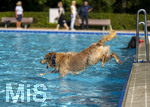 20.09.2026, Freibad Bad Wörishofen (Bayern), Hundebadetag im Freibad Sonnenbüchl in Bad Wörishofen. Nach der offizielle Schliessung des Bades für die Sommergäste dürfen die Hunde nochmal nach Herzenslust ins ungechlorte Wasser springen und toben. 