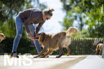 20.09.2026, Freibad Bad Wörishofen (Bayern), Hundebadetag im Freibad Sonnenbüchl in Bad Wörishofen. Nach der offizielle Schliessung des Bades für die Sommergäste dürfen die Hunde nochmal nach Herzenslust ins ungechlorte Wasser springen und toben. 
