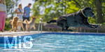 20.09.2026, Freibad Bad Wörishofen (Bayern), Hundebadetag im Freibad Sonnenbüchl in Bad Wörishofen. Nach der offizielle Schliessung des Bades für die Sommergäste dürfen die Hunde nochmal nach Herzenslust ins ungechlorte Wasser springen und toben. 