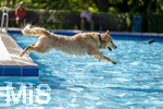 20.09.2026, Freibad Bad Wörishofen (Bayern), Hundebadetag im Freibad Sonnenbüchl in Bad Wörishofen. Nach der offizielle Schliessung des Bades für die Sommergäste dürfen die Hunde nochmal nach Herzenslust ins ungechlorte Wasser springen und toben. 