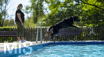 20.09.2026, Freibad Bad Wörishofen (Bayern), Hundebadetag im Freibad Sonnenbüchl in Bad Wörishofen. Nach der offizielle Schliessung des Bades für die Sommergäste dürfen die Hunde nochmal nach Herzenslust ins ungechlorte Wasser springen und toben. 