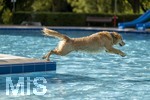 20.09.2026, Freibad Bad Wörishofen (Bayern), Hundebadetag im Freibad Sonnenbüchl in Bad Wörishofen. Nach der offizielle Schliessung des Bades für die Sommergäste dürfen die Hunde nochmal nach Herzenslust ins ungechlorte Wasser springen und toben. 