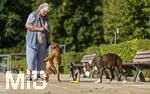 20.09.2026, Freibad Bad Wörishofen (Bayern), Hundebadetag im Freibad Sonnenbüchl in Bad Wörishofen. Nach der offizielle Schliessung des Bades für die Sommergäste dürfen die Hunde nochmal nach Herzenslust ins ungechlorte Wasser springen und toben. 