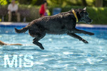 20.09.2026, Freibad Bad Wörishofen (Bayern), Hundebadetag im Freibad Sonnenbüchl in Bad Wörishofen. Nach der offizielle Schliessung des Bades für die Sommergäste dürfen die Hunde nochmal nach Herzenslust ins ungechlorte Wasser springen und toben. 